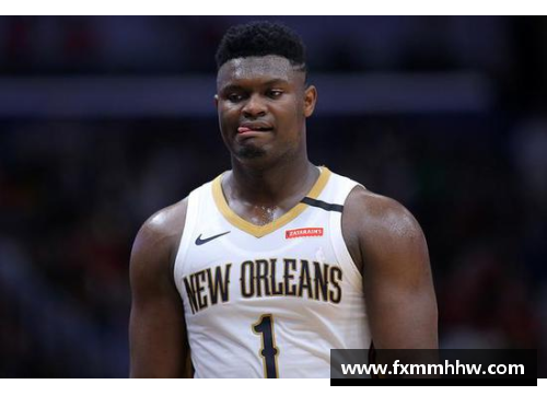 tb天博体育综合NBA球员诺埃尔的职业生涯和个人成就综述
