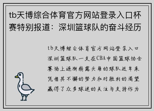 tb天博综合体育官方网站登录入口杯赛特别报道：深圳篮球队的奋斗经历